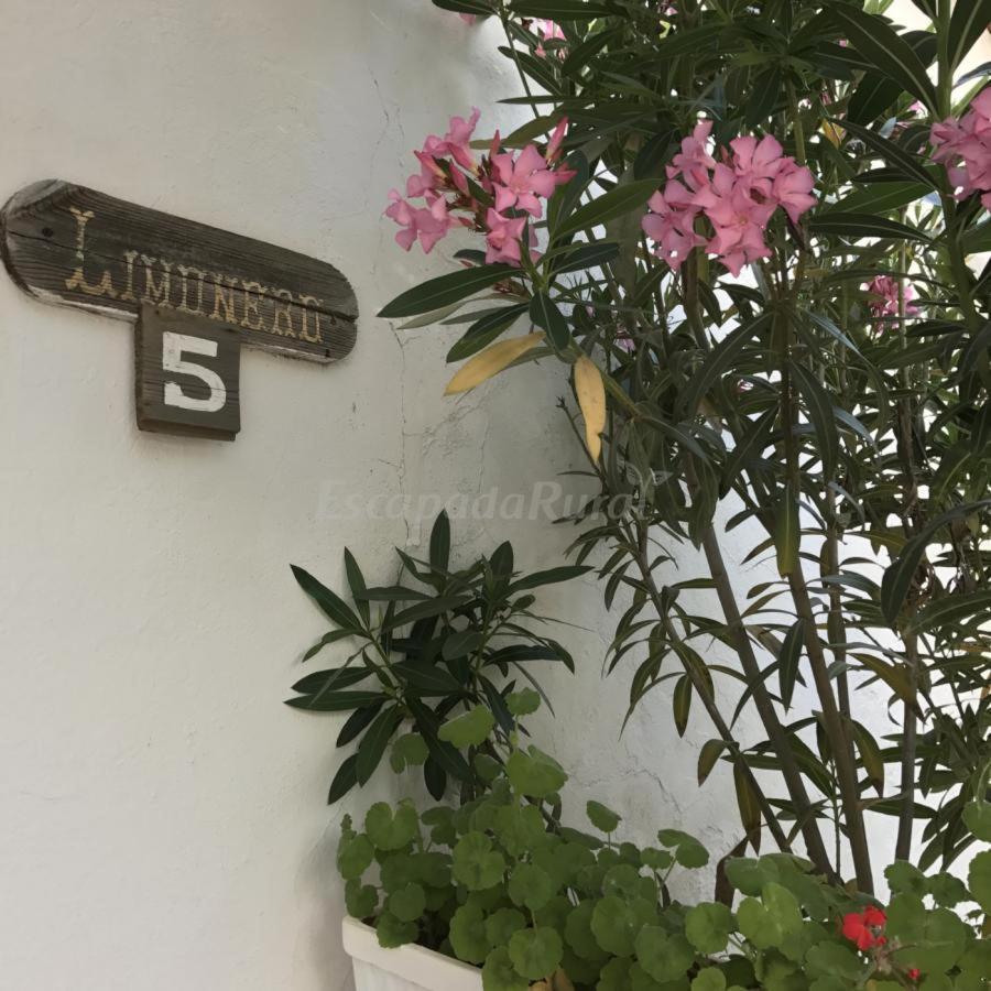 Zufre Finca La Vicacaria Limonero מראה חיצוני תמונה